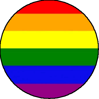 the pride flag